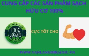 lĩnh vực hoạt động sản xuất các sản phẩm sạch hữu cơ 100%