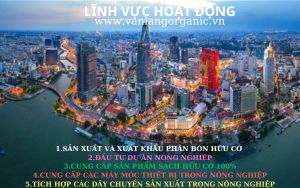 lĩnh vực hoạt động