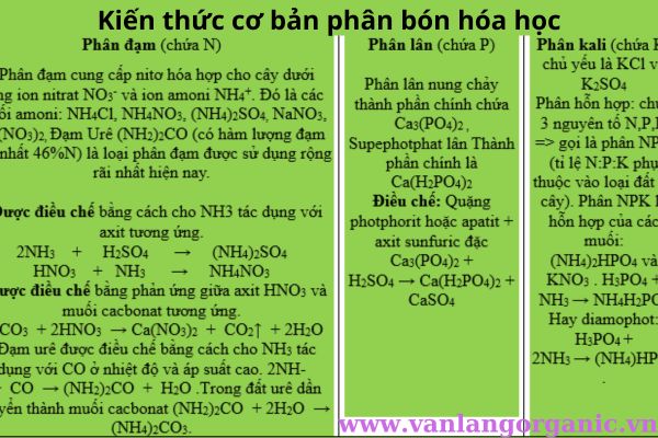 Kiến thức cơ bản về phân bón vô cơ, phân bón hóa học