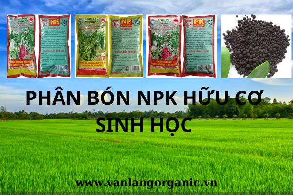 kiến thức cơ bản về phân bón hữu cơ sinh học