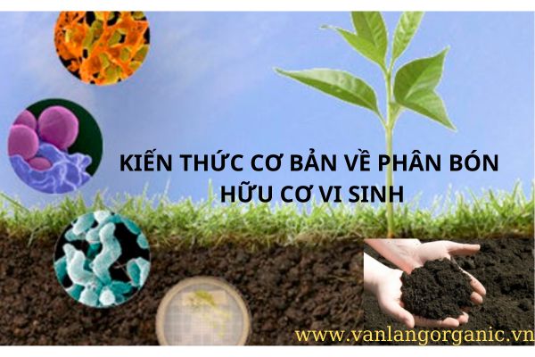 kiến thức cơ bản về phân hữu cơ vi sinh -phân vi sinh