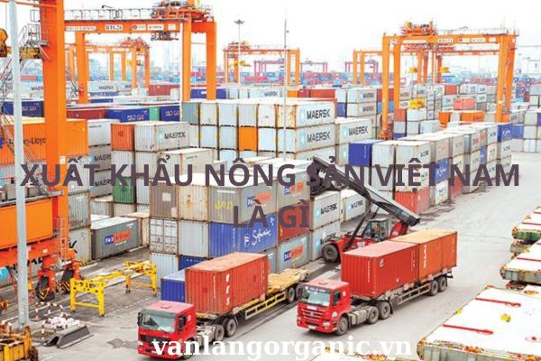 Nông sản việt nam xuất khẩu nhiều nhất vào những nước nào hiện nay