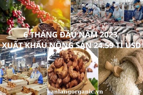 Nông sản việt nam xuất khẩu nhiều nhất vào những nước nào