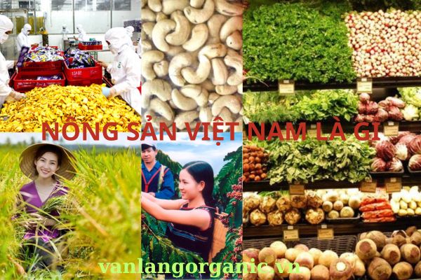 Nông sản việt nam xuất khẩu nhiều nhất vào những nước nào hiện nay