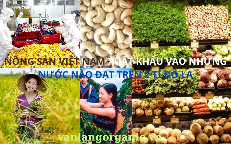 Nông sản việt nam xuất khẩu nhiều nhất vào những nước nào